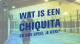 Wat is een chiquita en hoe speel je hem?